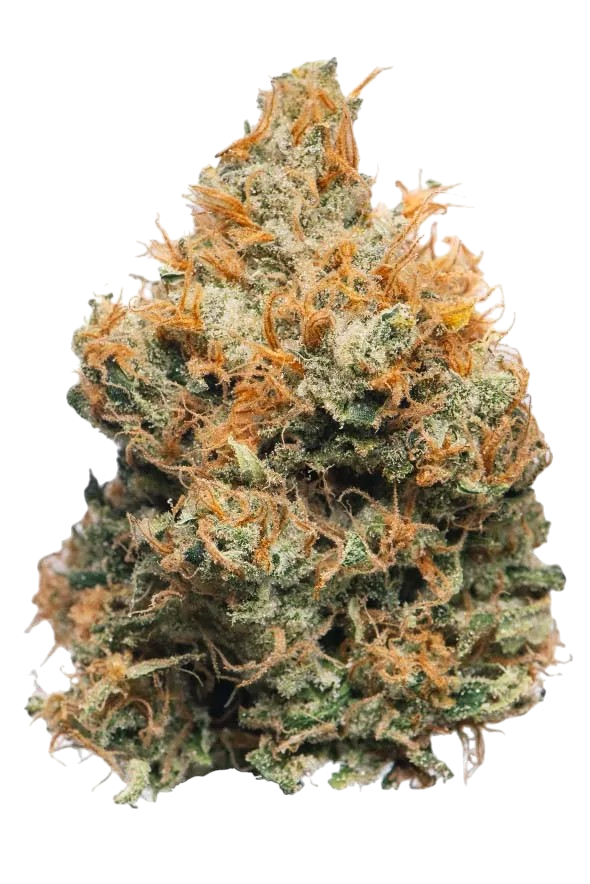 Sticky Green | Top Shelf THCa Flower 3.5G