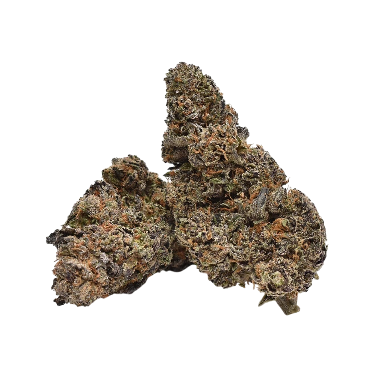 Petalz | Exotic THCa Flower : 4G