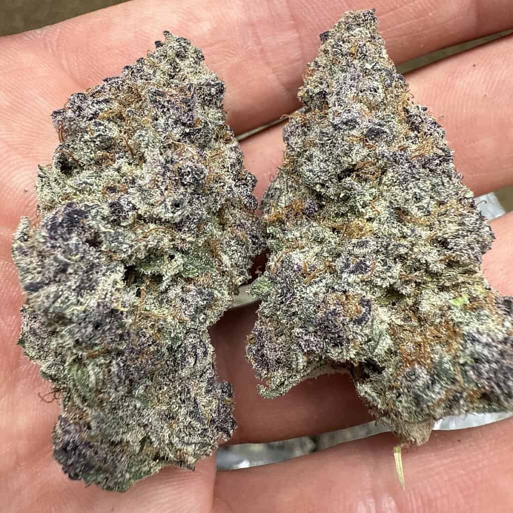 Blockberry: HYBRID (34.058%)