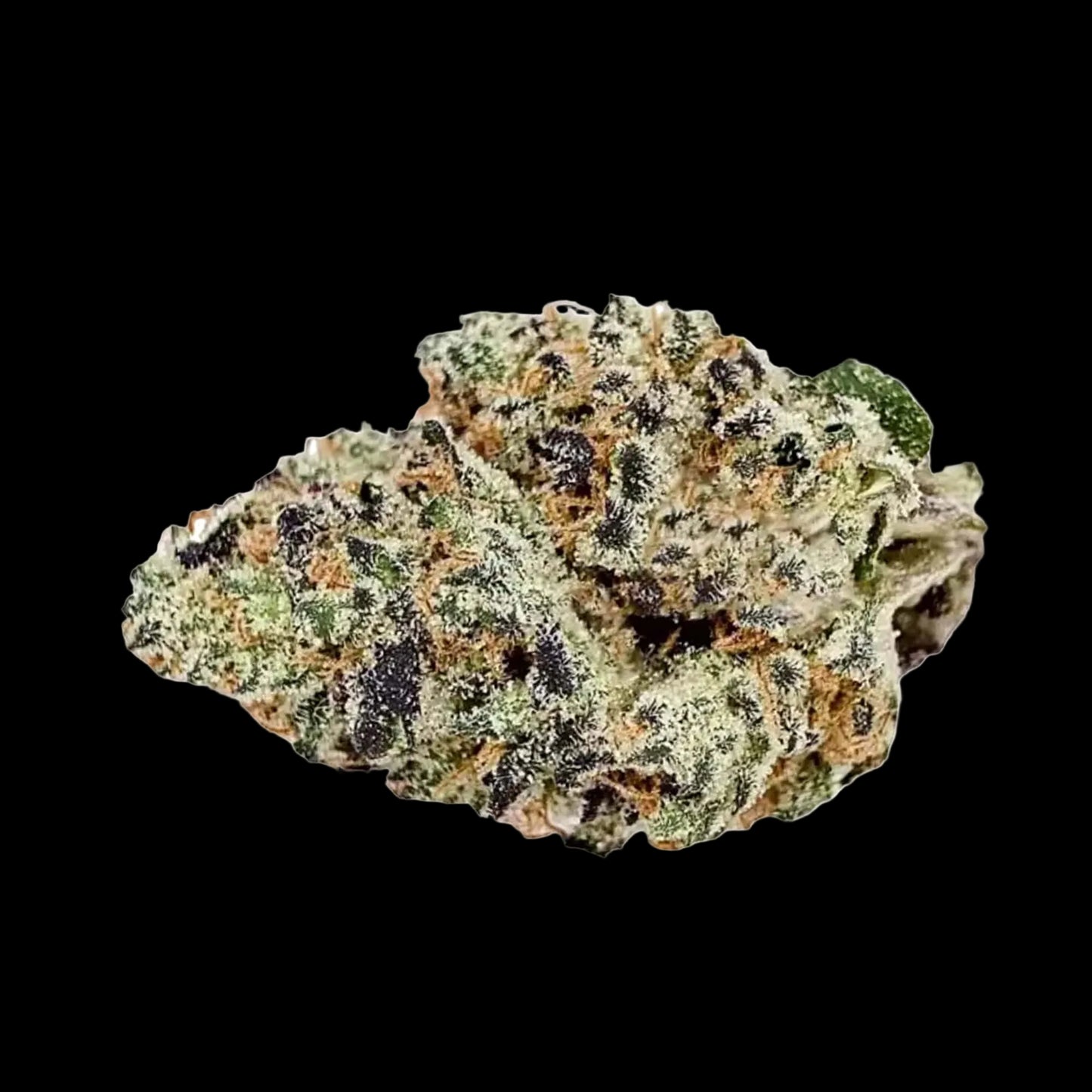 Blockberry: HYBRID (34.058%)
