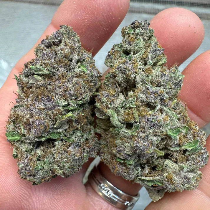THC-A Flower | GMO Grapes: INDICA (37.12%)