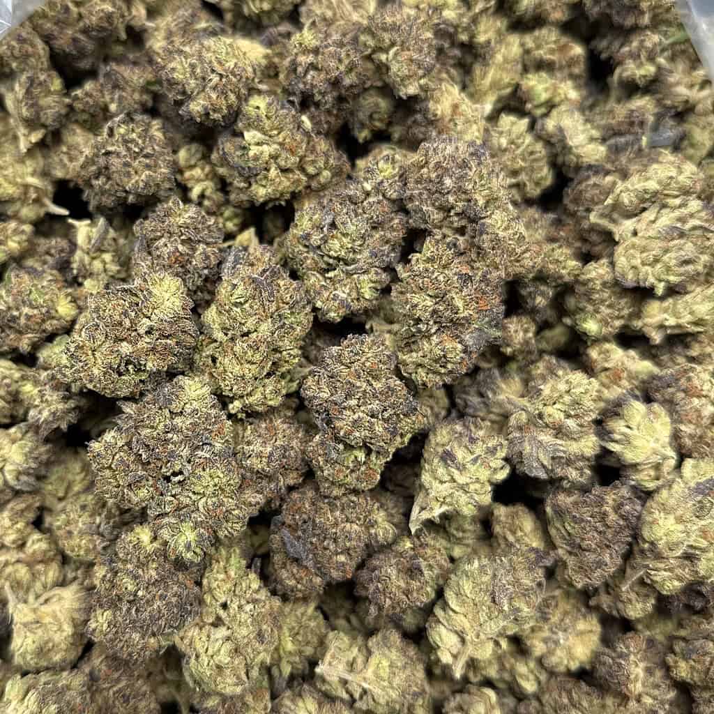 Ice Cream Cake: INDICA(31.12%)