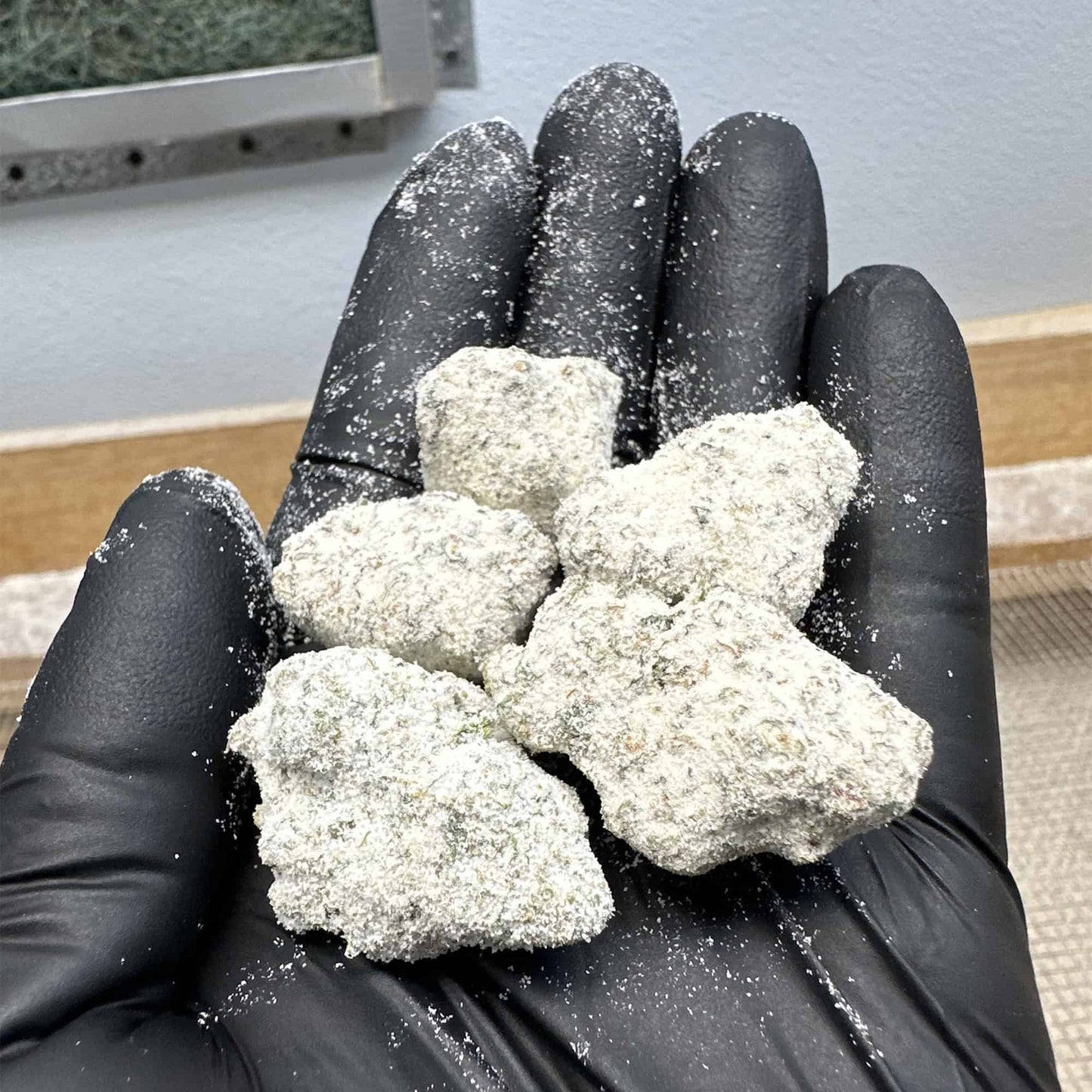 THC-A Snowcaps|Trop Cherry: SATIVA (64.54%)